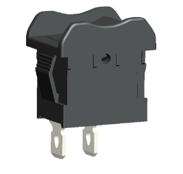 Image1