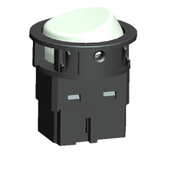 Image1