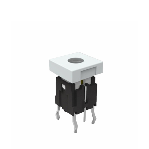 Image1