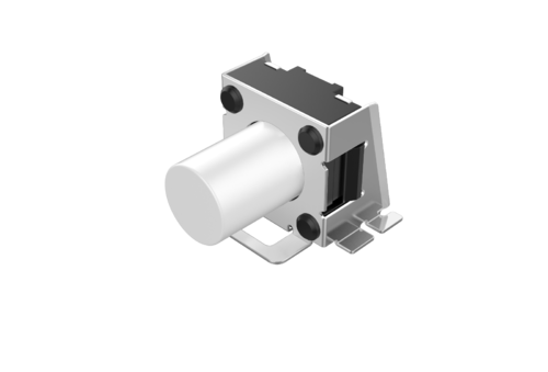 Image1