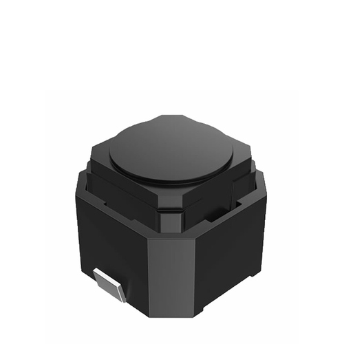 Image1